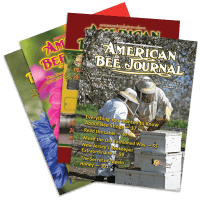 American Bee Journal Subscriptions