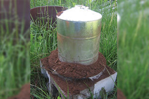 Poultry waterer with sphagnum peat moss added