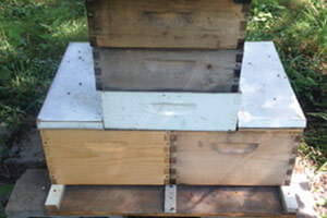 Horizontal two-queen hive configuration. The top super was half full so I added two more supers.