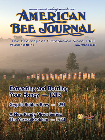 November American Bee Journal Cover Photo