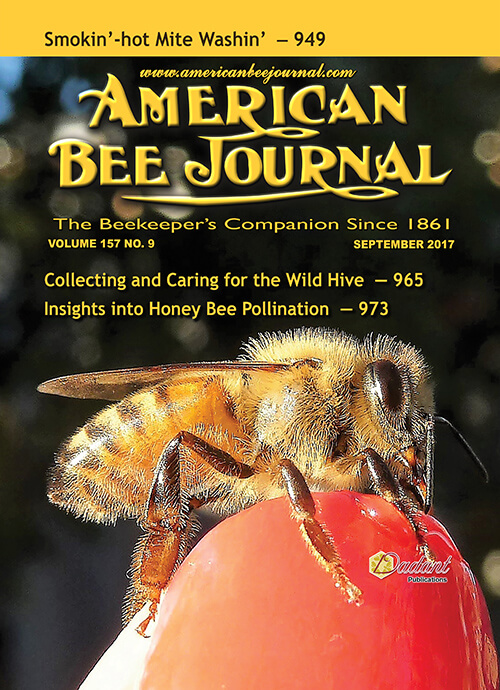 American Bee Journal September 2017