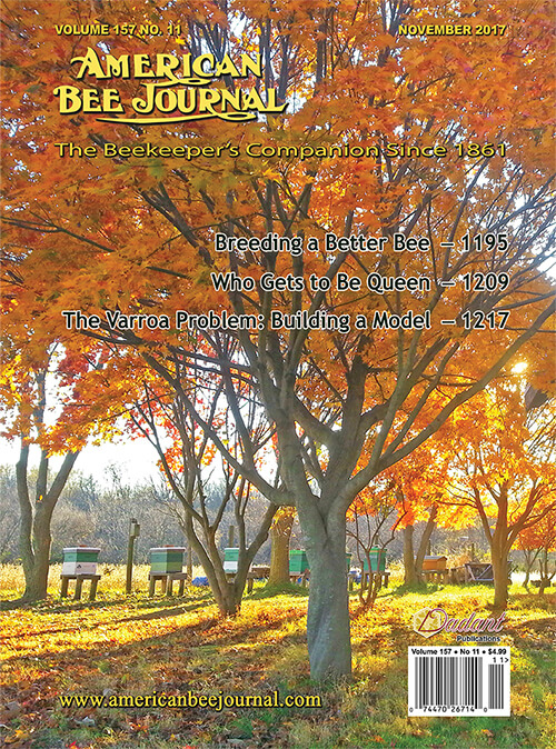 ABJ November Cover