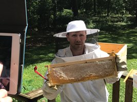 Beekeeper with frame from behive