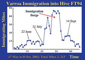 Varroa Immigration into the hive