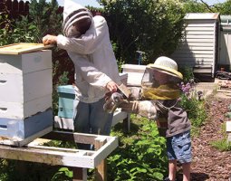 treatment free beekeeping