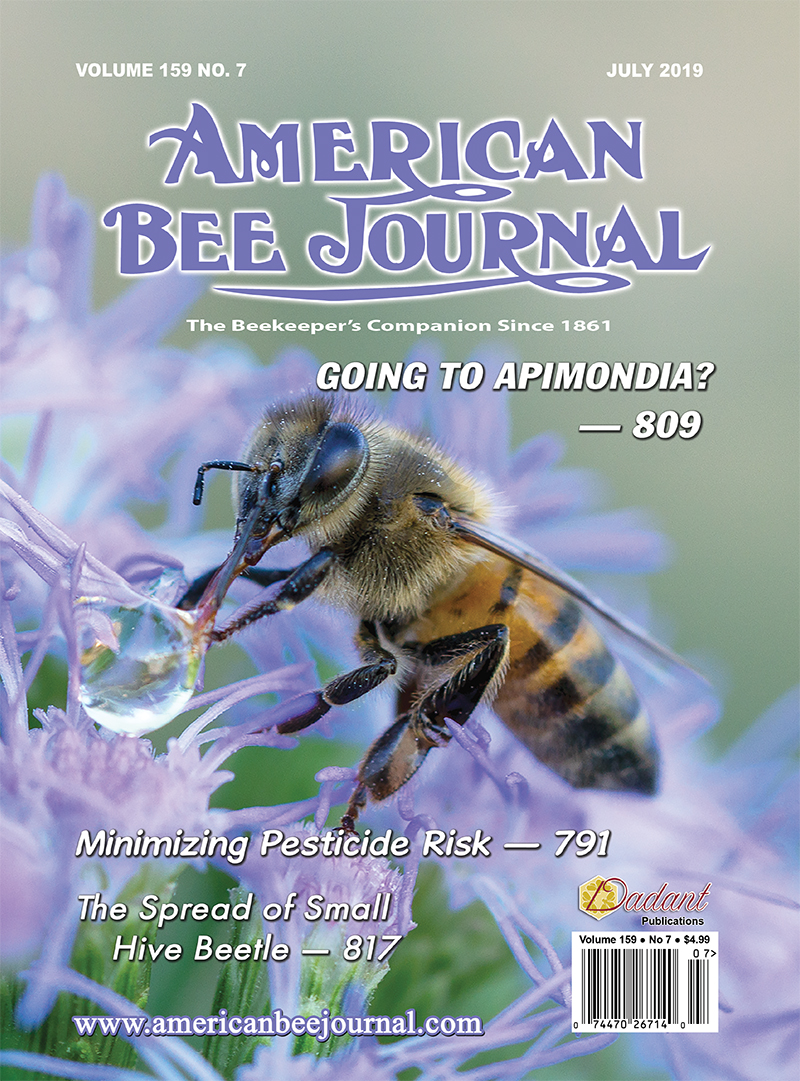 American Bee Journal July 2019 Cover