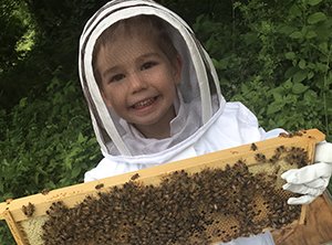Three Year Old Beekeeper holding frame of bees
