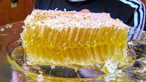 honey comb