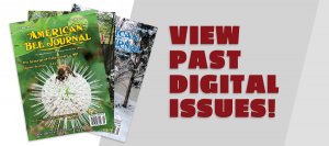 Past Digital Issues