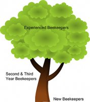 Burlew Tree of Knowledge
