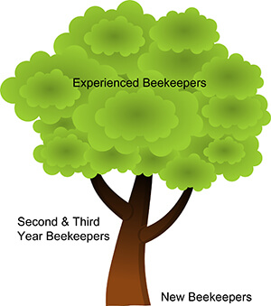 Burlew Tree of Knowledge