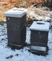 Wintering Bee Hives