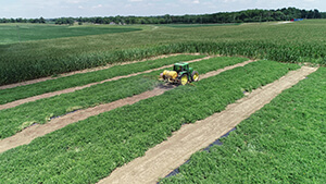 Pesticides on Crops