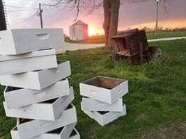 getting hives ready
